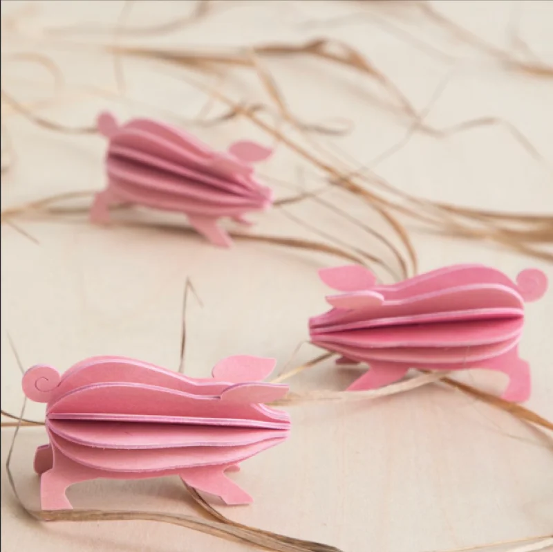Body Design LOVI | Wooden 3D Puzzle | Pig