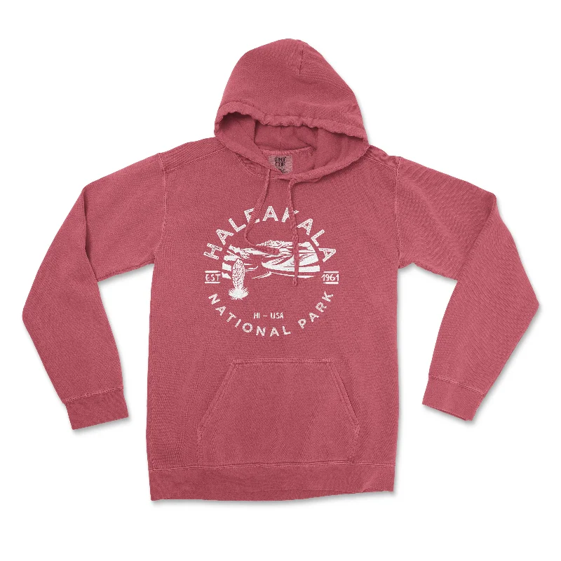 Fresh And Fashionable Haleakala National Park Comfort Colors Hoodie