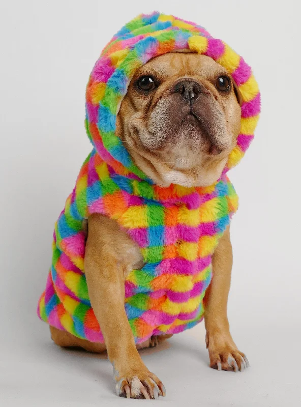 New Autumn And Winter Styles Technicolor Dog Hoodie