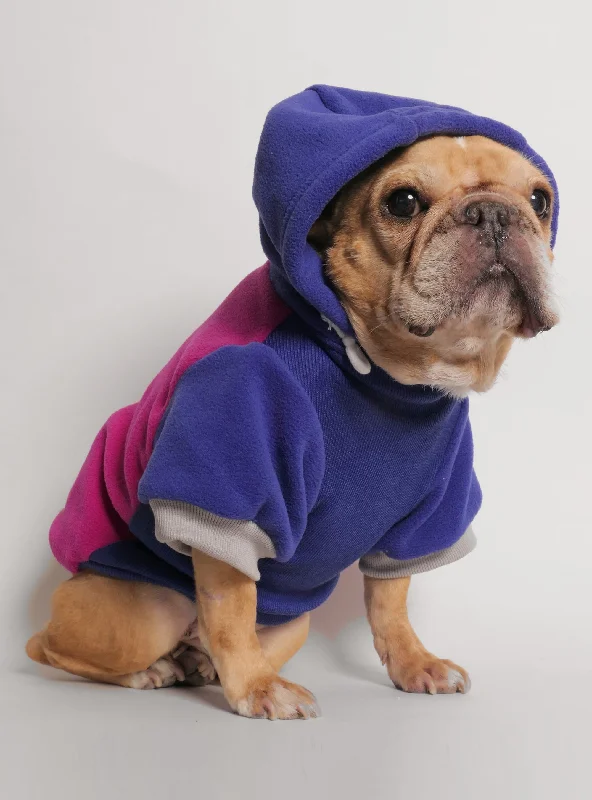 Celebrity Style Rooney Dog Hoodie